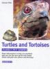 Turtles_and_tortoises