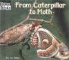 From_caterpillar_to_moth
