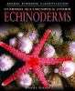 Starfish__urchins___other_echinoderms