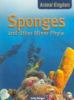 Sponges_and_other_minor_phyla
