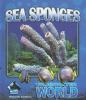 Sea_sponges