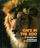 Cats_in_the_zoo