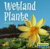Wetland_plants