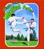 High_flying_martial_arts