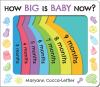 How_big_is_baby_now_