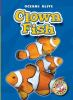 Clown_fish