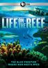 Life_on_the_reef