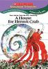 A_house_for_hermit_crab