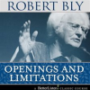 Openings_and_Limitations