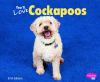 You_ll_love_cockapoos