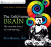 The_Enlightened_Brain