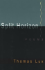Split_Horizon