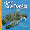 I_am_a_sea_turtle