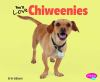 You_ll_love_chiweenies