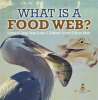 What_is_a_Food_Web__Science_of_Living_Things_Grade_4_Children_s_Science___Nature_Books