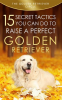 Golden_Retriever__15_Secret_Tactics_You_Can_Do_to_Raise_a_Perfect_Golden_Retriever