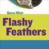 Flashy_Feathers