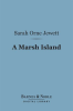 A_Marsh_Island