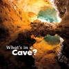What_s_in_a_Cave_