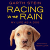 Racing_in_the_Rain