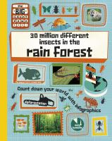30_million_different_insects_in_the_rain_forest