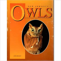 New_Jersey_s_owls