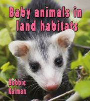 Baby_animals_in_land_habitats