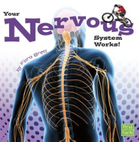 Your_nervous_system_works_