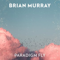 Paradigm_Fly
