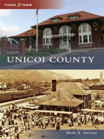 Unicoi_County