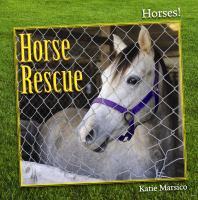 Horse_rescue