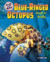 Blue-ringed_octopus