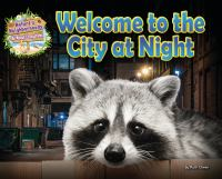 Welcome_to_the_city_at_night