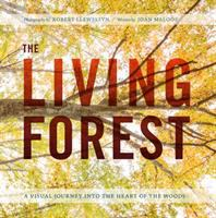 The_living_forest