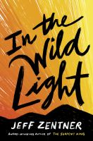 The cover for In The Wild Light. The title of the book sits in script over top of a black mountain scape. The sky is a brilliant gold light. 